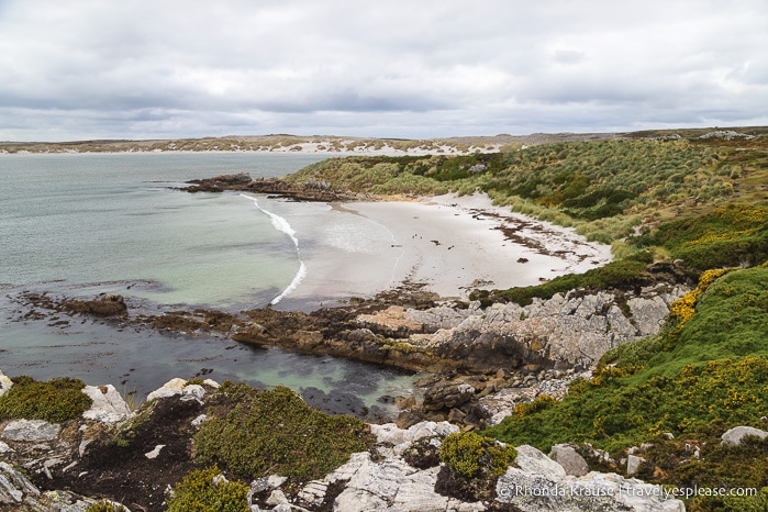 One Day in Stanley- Things to Do in the Capital of the Falkland Islands