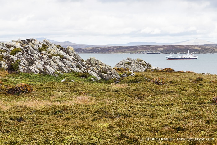 Things to Do in Stanley, Falkland Islands