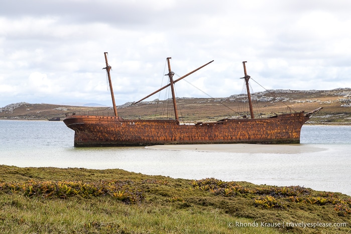 One Day in Stanley- Things to Do in the Capital of the Falkland Islands