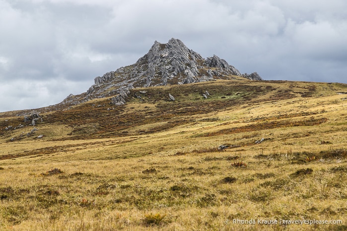 Things to Do in Stanley, Falkland Islands