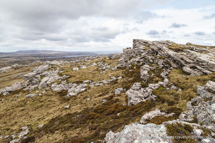 Things to Do in Stanley, Falkland Islands