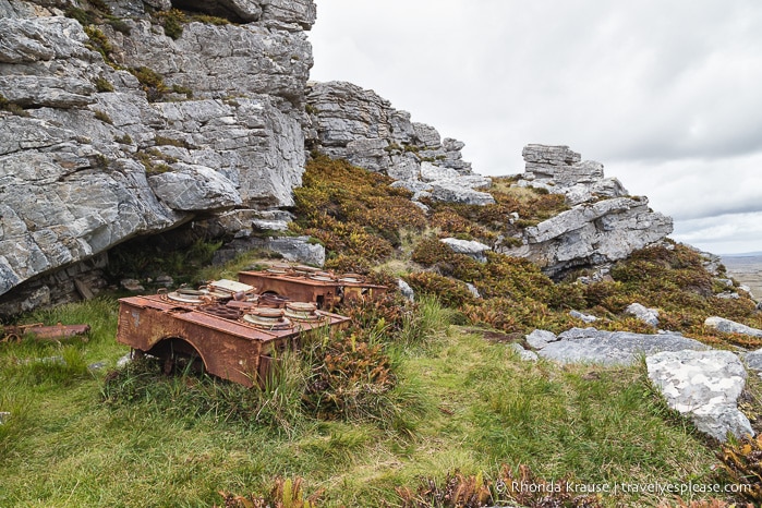 Things to Do in Stanley, Falkland Islands