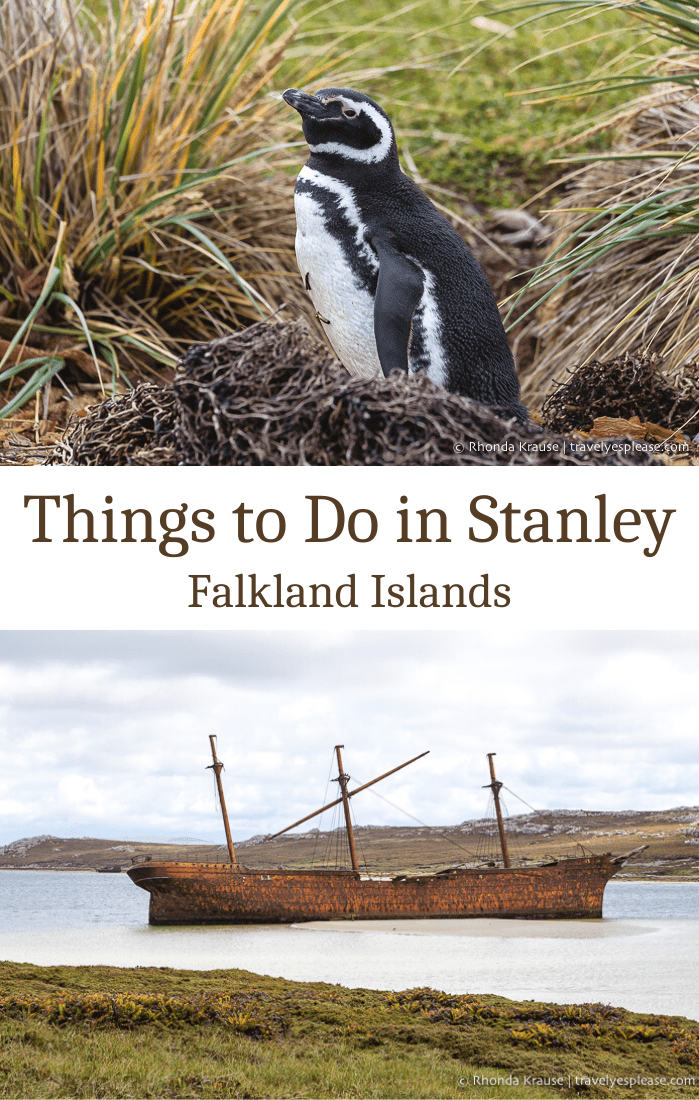 Things to Do in Stanley- How to Spend One Day in the Capital of the Falkland Islands