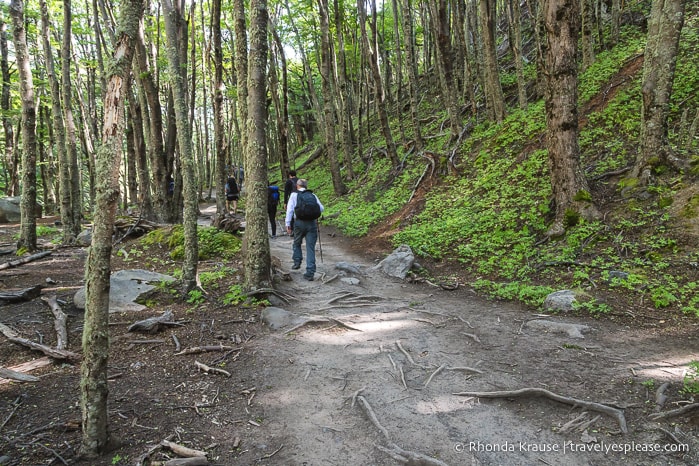 Hiking to Mirador Las Torres- Base of the Towers in Torres del Paine National Park