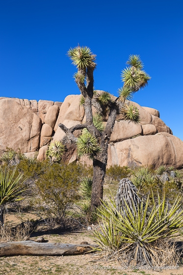 Southwest Road Trip Itinerary- California, Arizona, Utah, Nevada