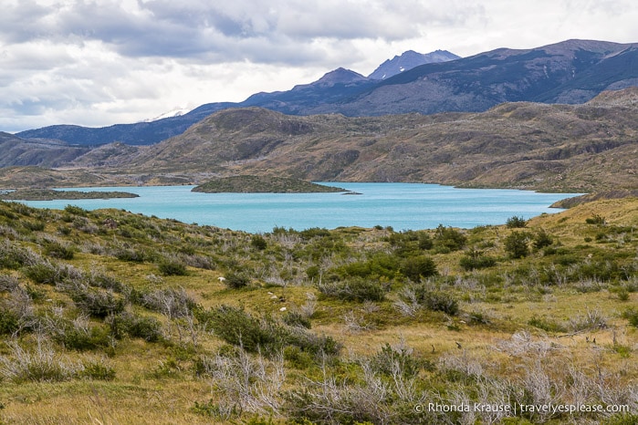 Lake view on the hike to the French Valley