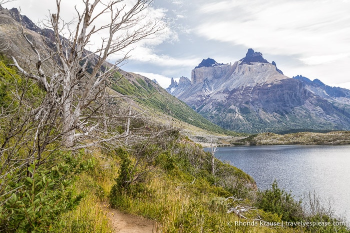 Lago Skottsberg and Cuernos del Paine