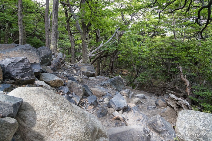 Rocky hiking trail in the French Valley