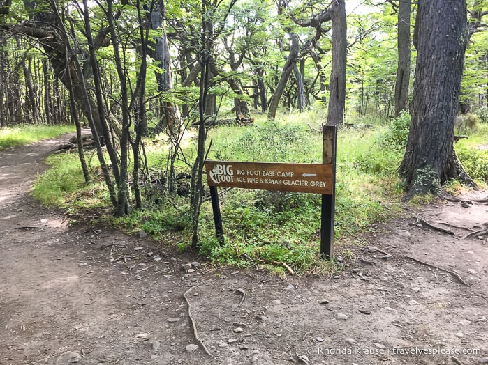 Hiking trail to Grey Glacier