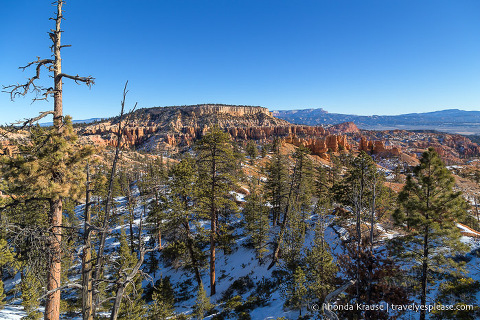 View from Fairyland Loop