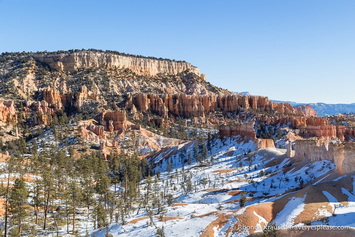 Open area on Fairyland Loop