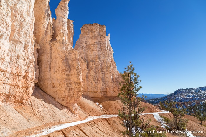 Fairyland Loop Trail passing along a rock wall