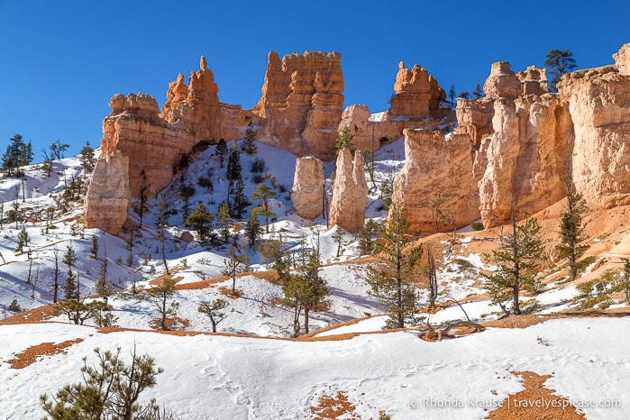 Scenery on Fairyland Trail