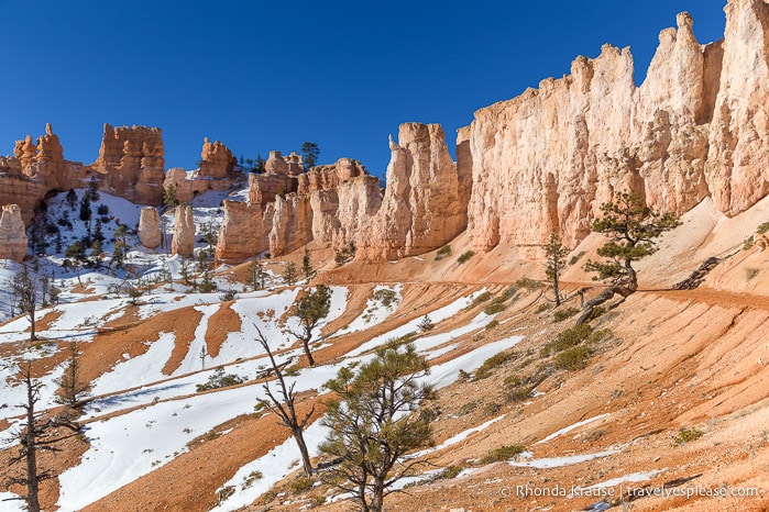 Fairyland Loop Trail passing along a wall of rock