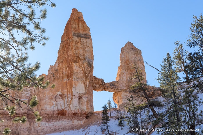 Tower Bridge in Bryce Canyon National Park