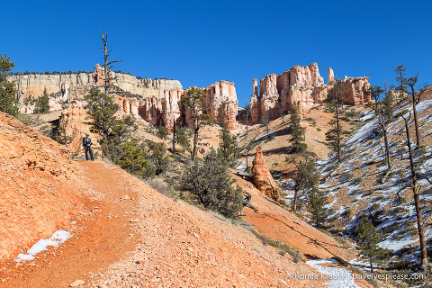 Hiking Fairyland Loop in Bryce Canyon National Park