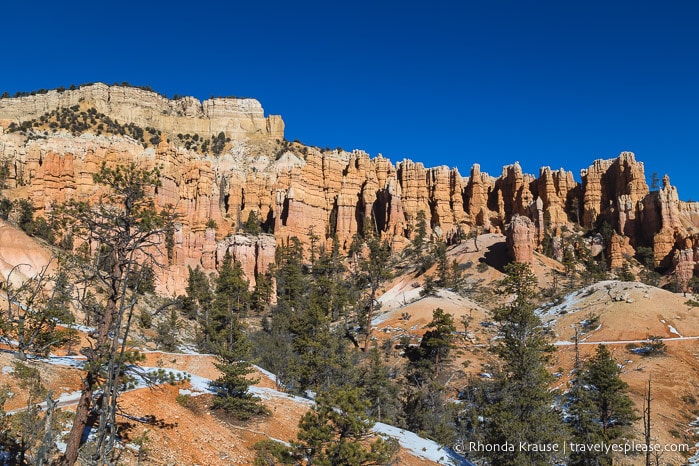 Scenery on Fairyland Loop