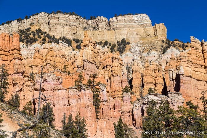 Wall of hoodoos on Fairyland Loop Trail