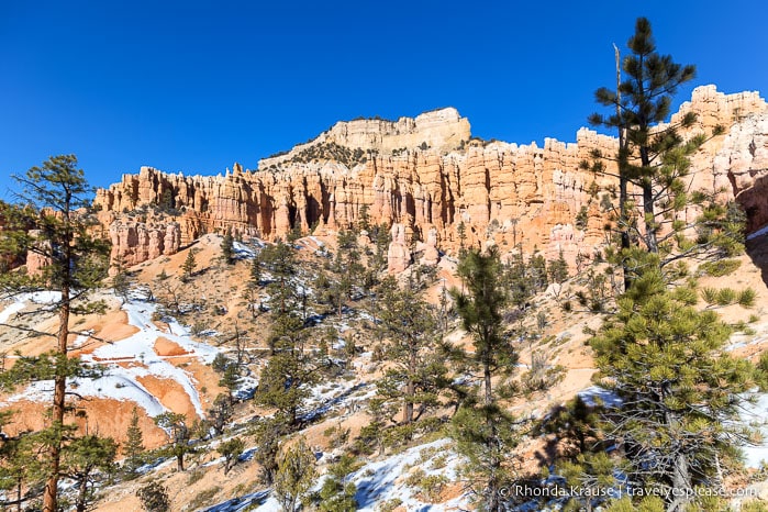 Scenery on Fairyland Trail