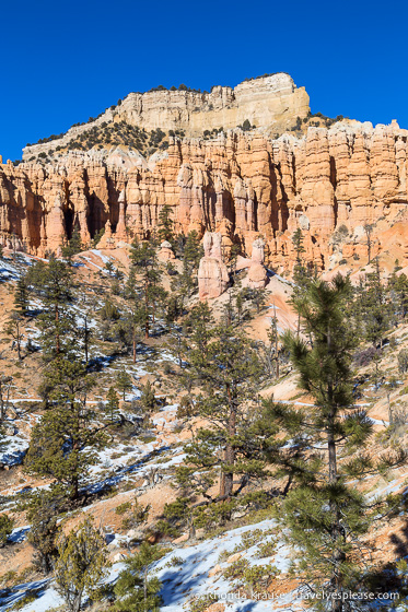 Hoodoos on Fairyland Trail