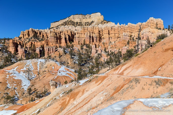 Wall of hoodoos on Fairyland Loop Trail