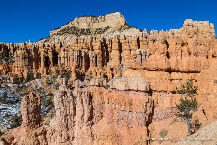 Hoodoos on Fairyland Trail in Bryce Canyon National Park
