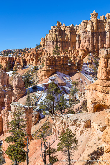 Hoodoos on Fairyland Trail