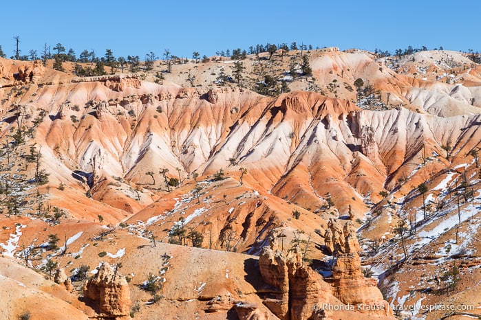 Orange and white layered mounds of sand in Bryce Amphitheatre