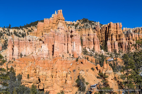 Wall of hoodoos in Bryce Canyon National Park