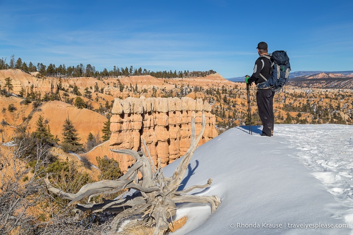 View of Bryce Amphitheatre from the Rim Trail