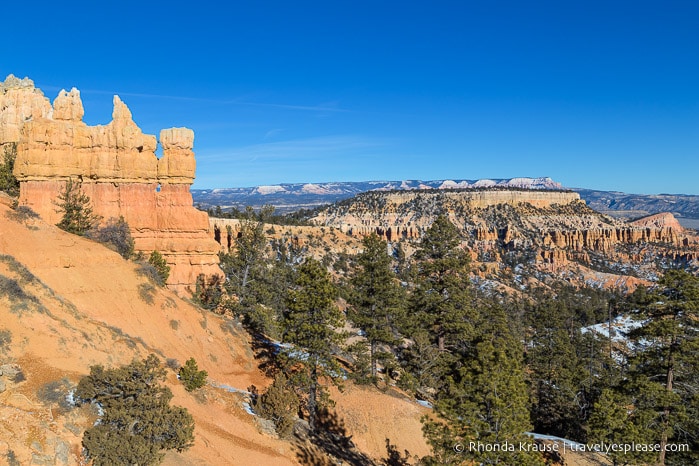 View from the Rim Trail in Bryce Canyon National Park