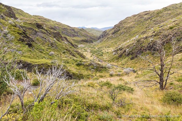 Valley on the Grey Glacier trail