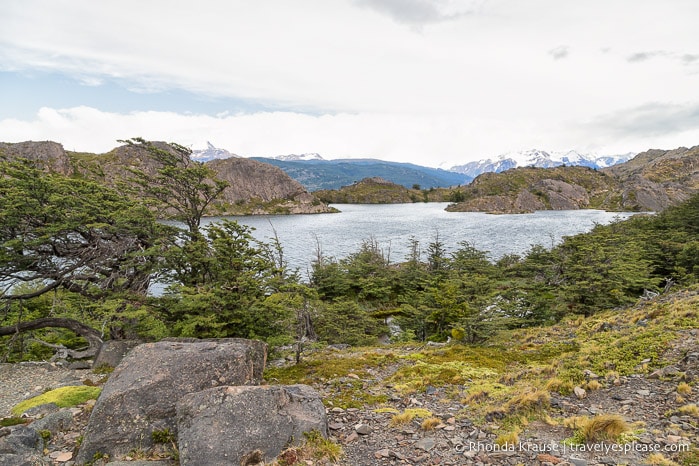 Laguna Los Patos