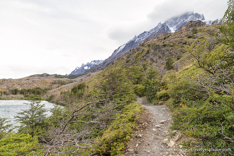 Trail beside Laguna Los Patos