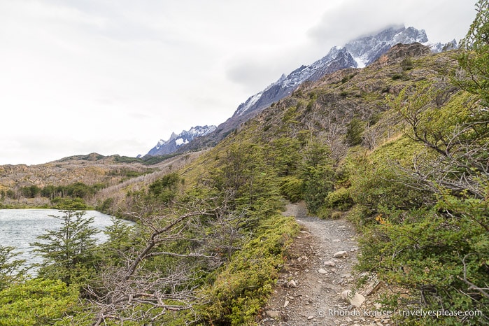 Trail beside Laguna Los Patos