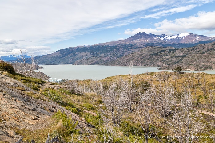 View of Lago Grey seen while hiking to Grey Glacier