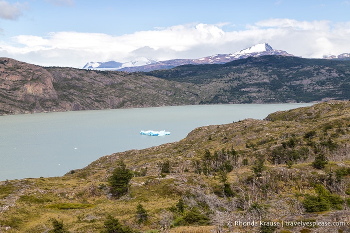 Iceberg floating in Lago Grey