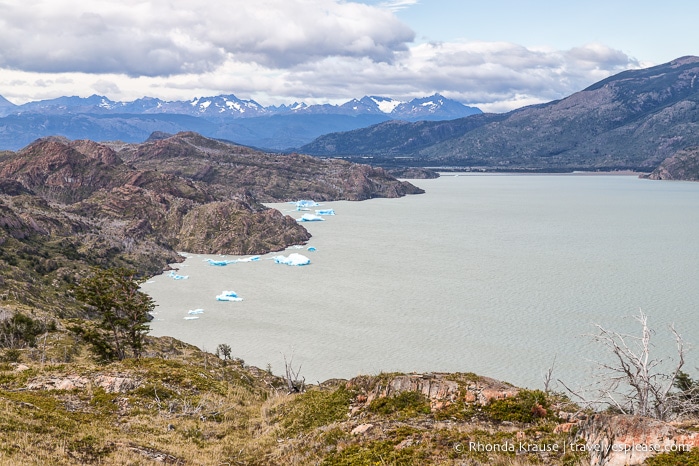 Icebergs floating in Lago Grey