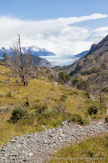 Trail leading to Grey Glacier
