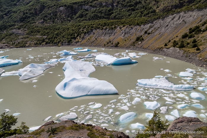 Icebergs floating in Lago Grey near Grey Glacier