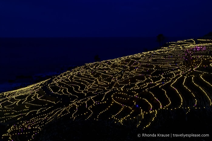 Japan bucket list- Attend an illumination event (Shiroyone Senmaida rice terraces illuminated with yellow lights)