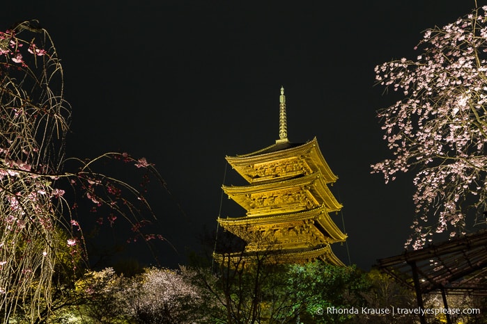 Pagoda at To-ji Temple illuminated at night