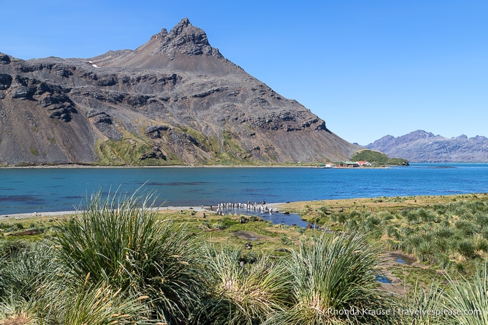 King Edward Cove, South Georgia