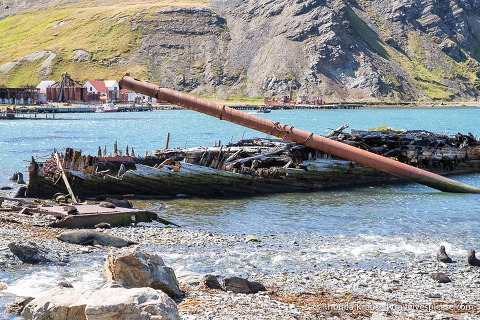 Barco en ruinas en Grytviken