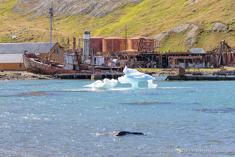 Barcos y equipos viejos en la estación ballenera abandonada de Grytviken.
