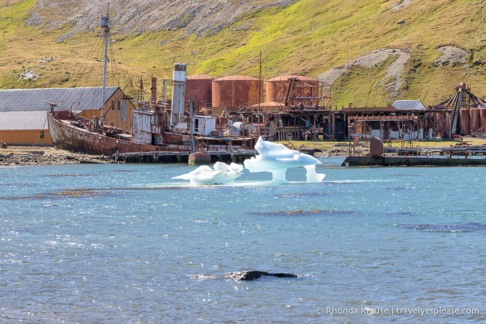 Old ships and equipment at the abandoned Grytviken whaling station.