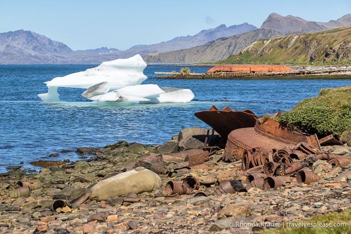 Small iceberg and rusty equipment at Grytviken