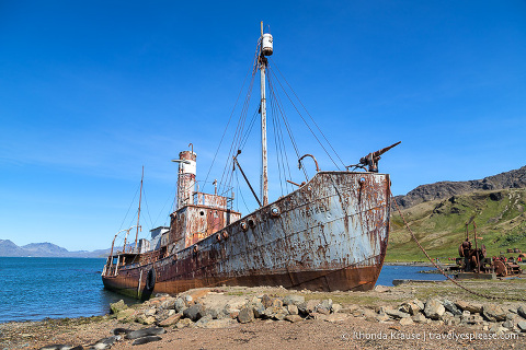 Barco de ballenas petreles en Grytviken