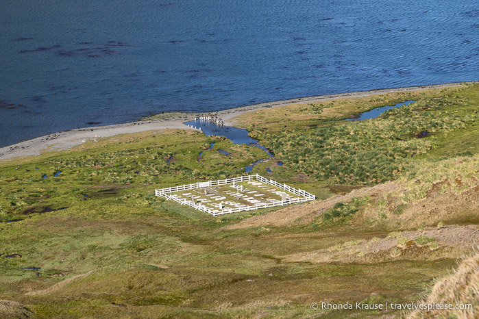 View of Grytviken Cemetery from above