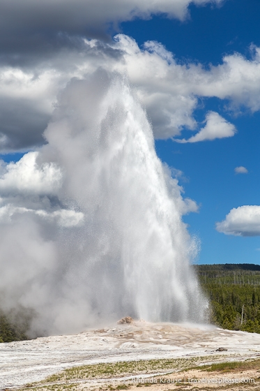 Old Faithful geyser in Yellowstone National Park.